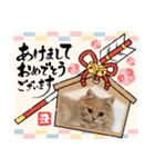 カノアとルアナ（個別スタンプ：29）
