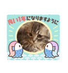 カノアとルアナ（個別スタンプ：31）