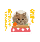 カノアとルアナ（個別スタンプ：32）