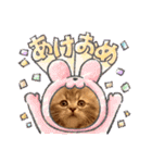 カノアとルアナ（個別スタンプ：40）