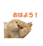 使いやすいタルスタンプ（個別スタンプ：3）