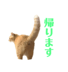 使いやすいタルスタンプ（個別スタンプ：6）