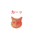 使いやすいタルスタンプ（個別スタンプ：19）