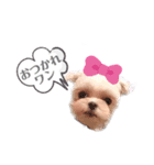 ♡レイちゃん♡（個別スタンプ：3）