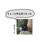 ここまこの東京生活。（個別スタンプ：14）
