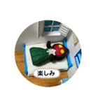 UMAの日常スタンプ＋（個別スタンプ：8）