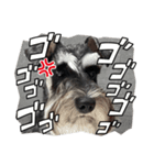 ティナ スタンプ No.3（個別スタンプ：14）