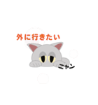 ネコ cat（個別スタンプ：4）