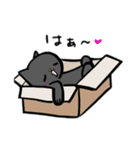 今ねこ（個別スタンプ：11）