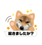 愛犬茶々no4（個別スタンプ：4）