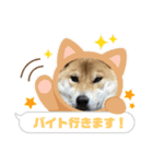 愛犬茶々no4（個別スタンプ：14）