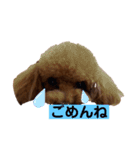 トイプ ポアロ2（個別スタンプ：15）