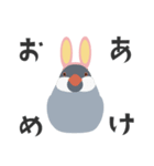 うさ耳付けたメデタイ文鳥（個別スタンプ：3）