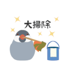 うさ耳付けたメデタイ文鳥（個別スタンプ：16）