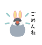 うさ耳付けたメデタイ文鳥（個別スタンプ：40）