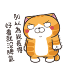 ランラン猫 40 (台湾版)（個別スタンプ：5）