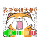 ランラン猫 40 (台湾版)（個別スタンプ：11）