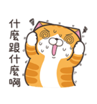 ランラン猫 40 (台湾版)（個別スタンプ：13）