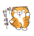 ランラン猫 40 (台湾版)（個別スタンプ：14）