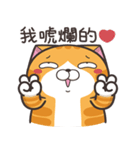 ランラン猫 40 (台湾版)（個別スタンプ：15）