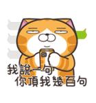 ランラン猫 40 (台湾版)（個別スタンプ：17）