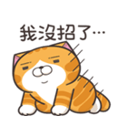 ランラン猫 40 (台湾版)（個別スタンプ：19）