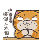ランラン猫 40 (台湾版)（個別スタンプ：28）