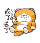 ランラン猫 40 (台湾版)（個別スタンプ：31）