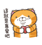 ランラン猫 40 (台湾版)（個別スタンプ：34）