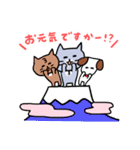 【猫】灰色キャットのお正月【2023】（個別スタンプ：11）