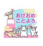 犬猫兎のメッセージ・あけおめ2023（個別スタンプ：6）