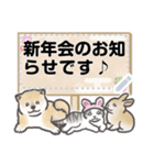 犬猫兎のメッセージ・あけおめ2023（個別スタンプ：15）