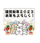 犬猫兎のメッセージ・あけおめ2023（個別スタンプ：17）