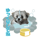 ポメシーズーのむぎ〜日常編〜（個別スタンプ：5）