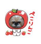 みるしょこぽん6（個別スタンプ：10）