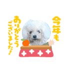 みるしょこぽん6（個別スタンプ：12）