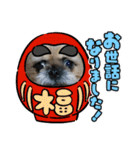 みるしょこぽん6（個別スタンプ：13）