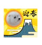 みるしょこぽん6（個別スタンプ：14）
