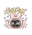 みるしょこぽん6（個別スタンプ：16）