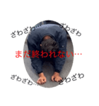 200万ニキ（個別スタンプ：4）