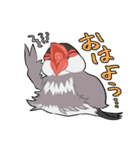 文鳥文太とセキセイインコ螢（個別スタンプ：7）