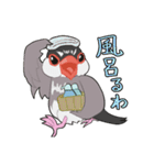 文鳥文太とセキセイインコ螢（個別スタンプ：12）