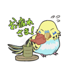 文鳥文太とセキセイインコ螢（個別スタンプ：17）