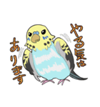 文鳥文太とセキセイインコ螢（個別スタンプ：20）