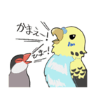 文鳥文太とセキセイインコ螢（個別スタンプ：25）