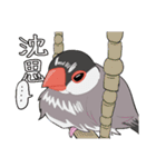 文鳥文太とセキセイインコ螢（個別スタンプ：40）