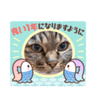 なかせみるちゃん④（個別スタンプ：8）