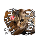 なかせみるちゃん④（個別スタンプ：11）