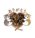 なかせみるちゃん④（個別スタンプ：13）