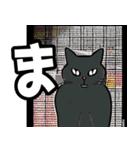 くろねこのコ（個別スタンプ：40）